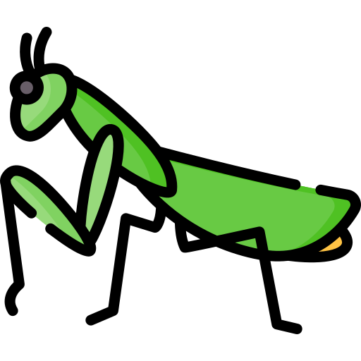 praying-mantis